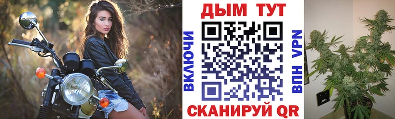 Конопля гибрид  Красноуральск 